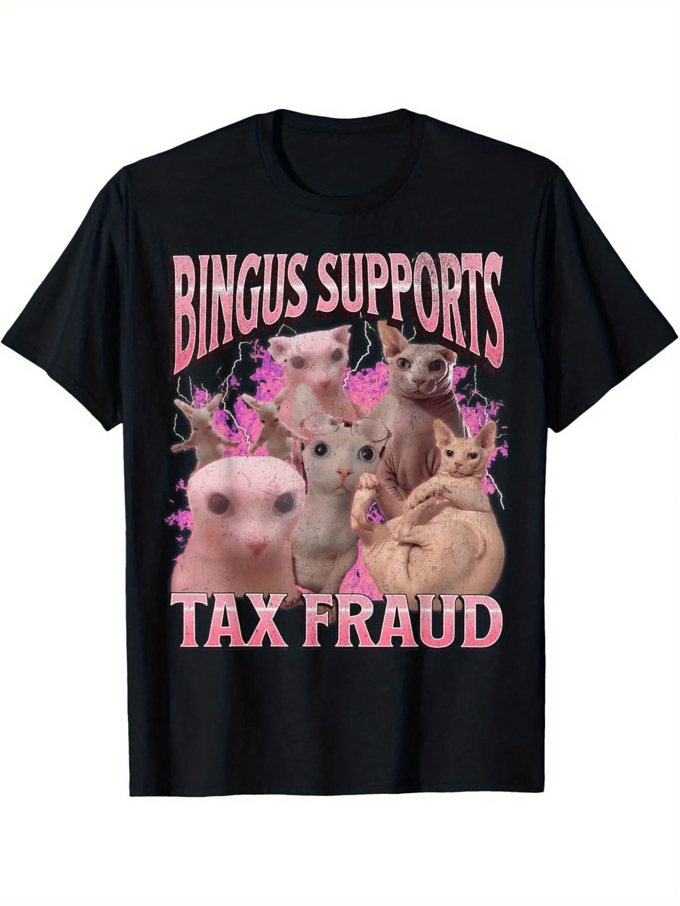 Bingus Supports Tax Fraud Funny Sphinx Cat Meme Bootleg T-Shirt